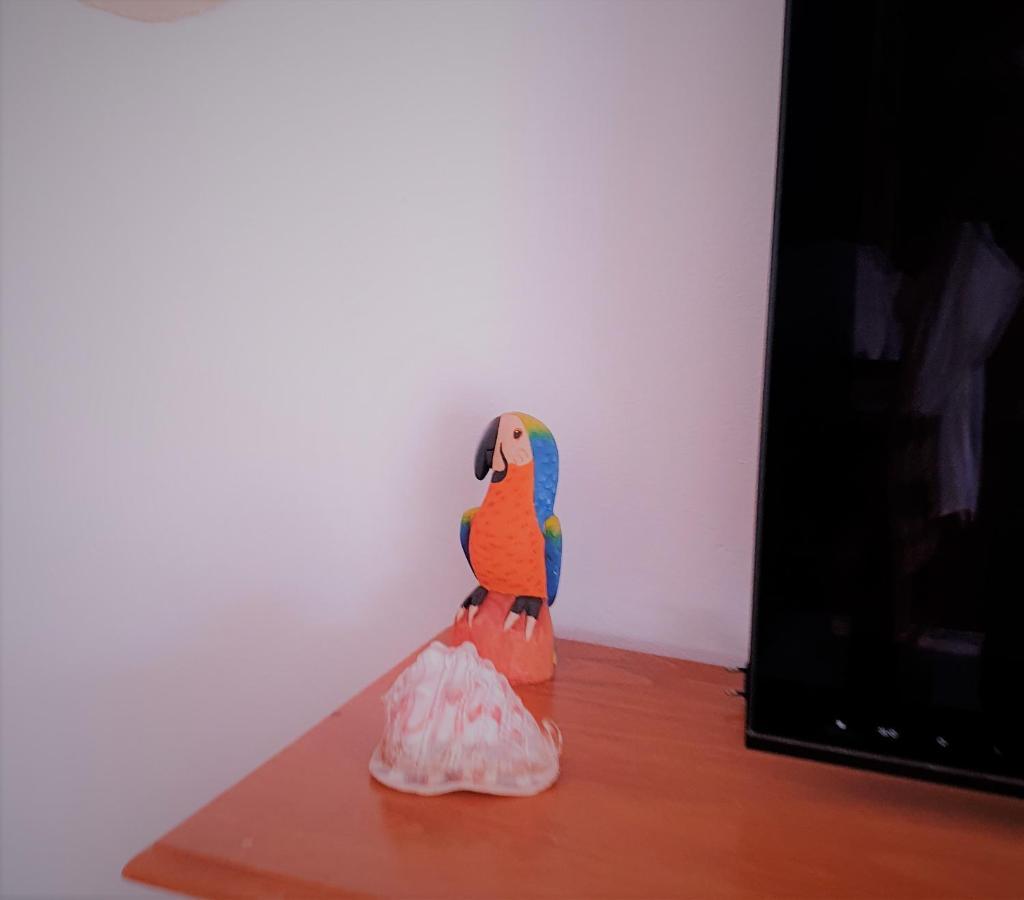 Apartamentos La Libertad エステポナ エクステリア 写真